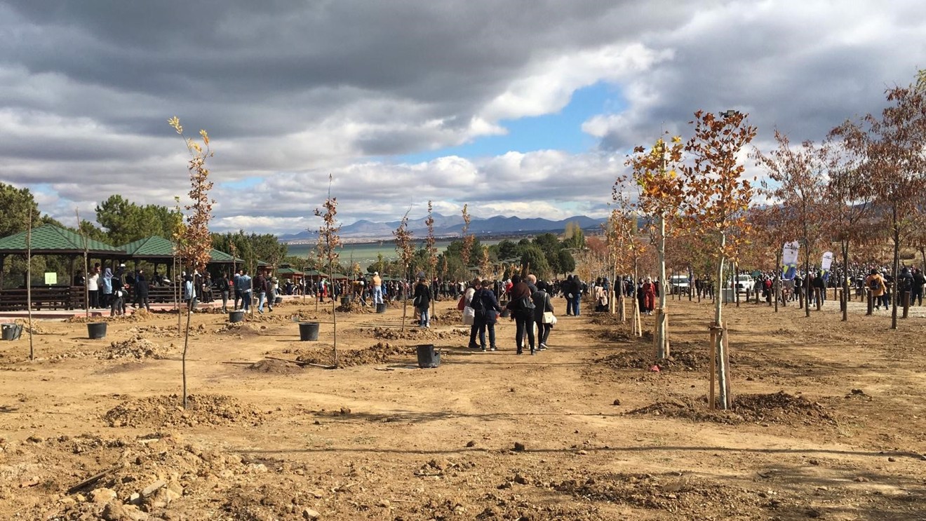 Ağaç Dikme Bayramı: Beyşehir Atabey Gençlik Ve Eğitim Kampı