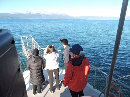 29 Ekim Hacı Akif Adası Kampı ve Kuş Gözlem Etkinliği