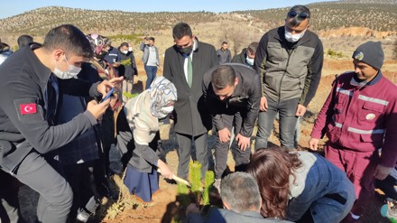 11 Kasım Milli Ağaçlandırma Günü
