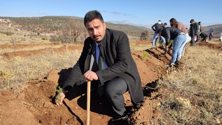 11 Kasım Milli Ağaçlandırma Günü