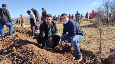 11 Kasım Milli Ağaçlandırma Günü