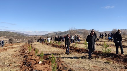 11 Kasım Milli Ağaçlandırma Günü