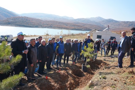 11 Kasım Milli Ağaçlandırma Günü Etkinliği