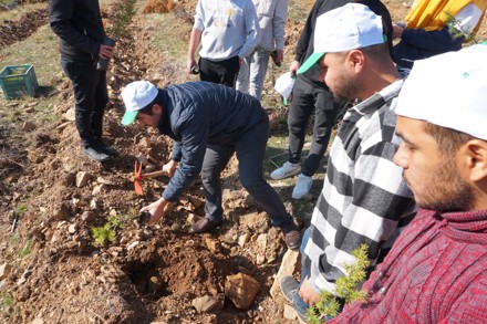 11 Kasım Milli Ağaçlandırma Günü Etkinliği
