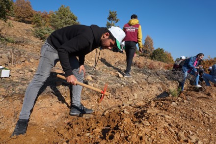 11 Kasım Milli Ağaçlandırma Günü Etkinliği