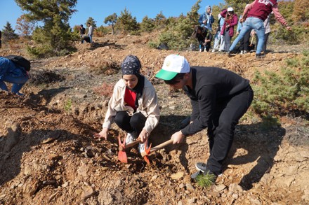 11 Kasım Milli Ağaçlandırma Günü Etkinliği