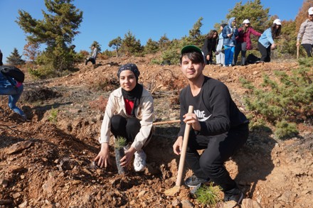 11 Kasım Milli Ağaçlandırma Günü Etkinliği