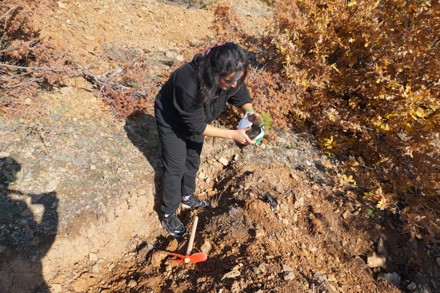 11 Kasım Milli Ağaçlandırma Günü Etkinliği