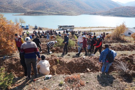 11 Kasım Milli Ağaçlandırma Günü Etkinliği