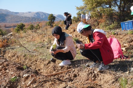 11 Kasım Milli Ağaçlandırma Günü Etkinliği