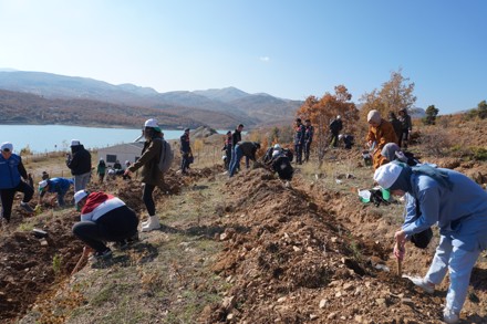 11 Kasım Milli Ağaçlandırma Günü Etkinliği