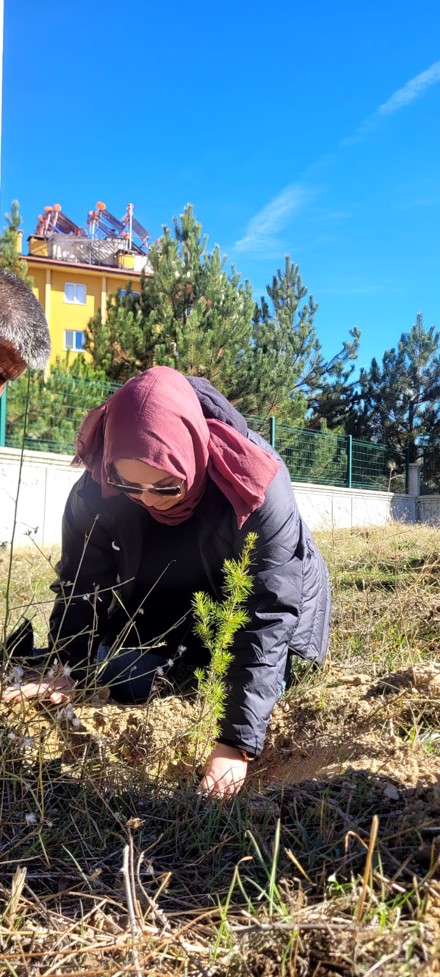 Bozkır Meslek Yüksekokulu’nda Görev Yapan Hocalarımız Fidan Dikme Etkinliği Gerçekleştirdi.