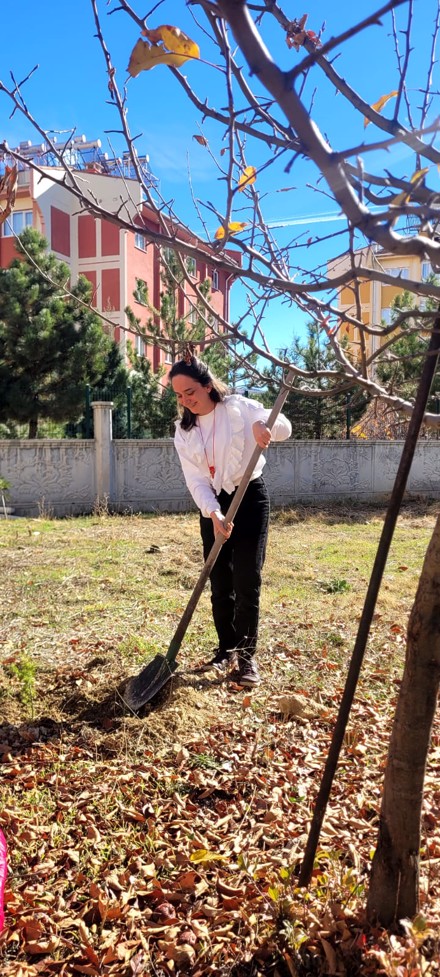 Bozkır Meslek Yüksekokulu’nda Görev Yapan Hocalarımız Fidan Dikme Etkinliği Gerçekleştirdi.