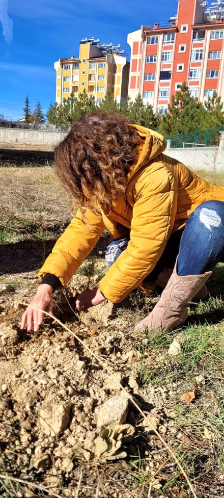 Bozkır Meslek Yüksekokulu’nda Görev Yapan Hocalarımız Fidan Dikme Etkinliği Gerçekleştirdi.