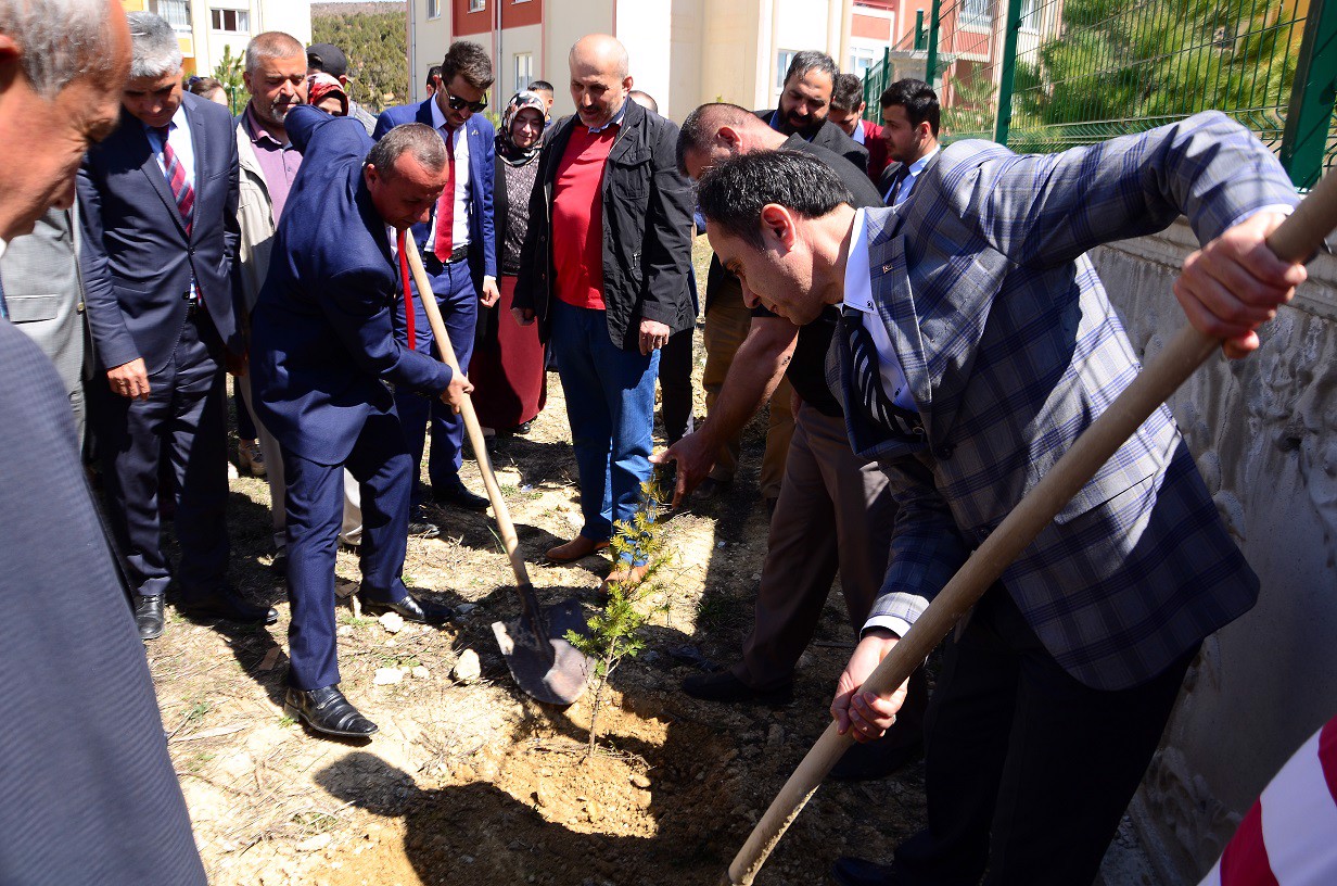 Ağaç Dikimi Etkinliği