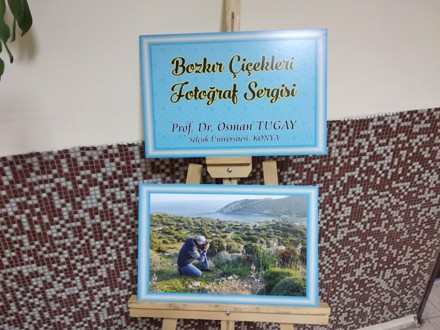 BOZKIR ÇİÇEKLERİ FOTOĞRAF SERGİSİ