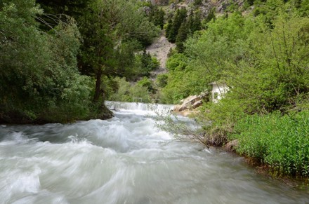 Aygır Pınarını, Gölcük Yaylası ve Kuğulu Park Gezisi