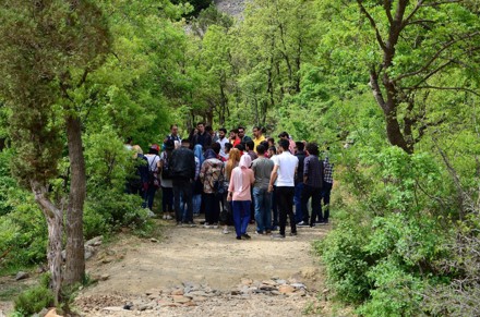 Aygır Pınarını, Gölcük Yaylası ve Kuğulu Park Gezisi