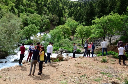 Aygır Pınarını, Gölcük Yaylası ve Kuğulu Park Gezisi
