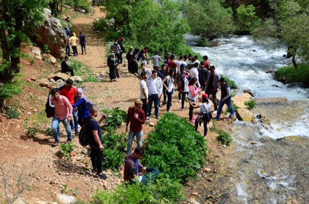 Aygır Pınarını, Gölcük Yaylası ve Kuğulu Park Gezisi