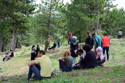 Aygır Pınarını, Gölcük Yaylası ve Kuğulu Park Gezisi