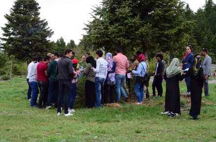 Aygır Pınarını, Gölcük Yaylası ve Kuğulu Park Gezisi