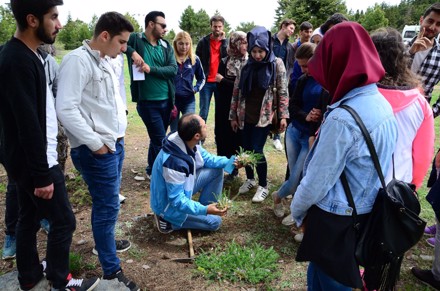 Aygır Pınarını, Gölcük Yaylası ve Kuğulu Park Gezisi