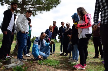 Aygır Pınarını, Gölcük Yaylası ve Kuğulu Park Gezisi