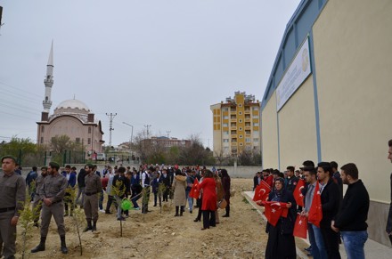 AFRİN ŞEHİTLERİMİZ İÇİN FİDAN DİKİM TÖRENİNDEN