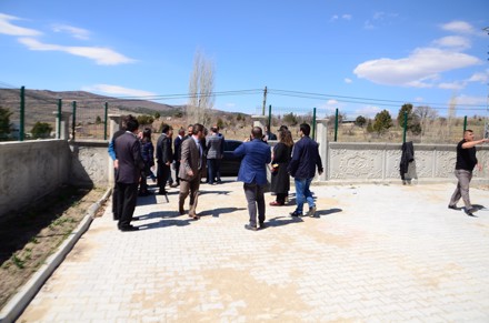 Ağaç Dikimi Etkinliği