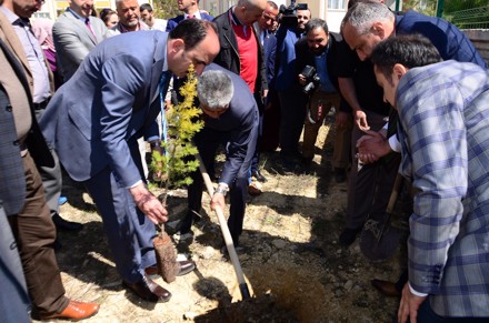 Ağaç Dikimi Etkinliği