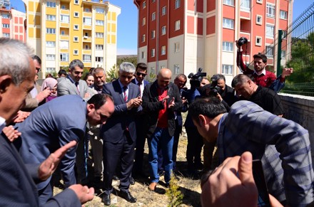 Ağaç Dikimi Etkinliği