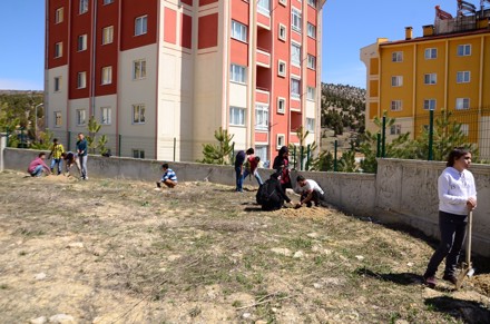 Ağaç Dikimi Etkinliği