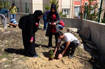 Ağaç Dikimi Etkinliği