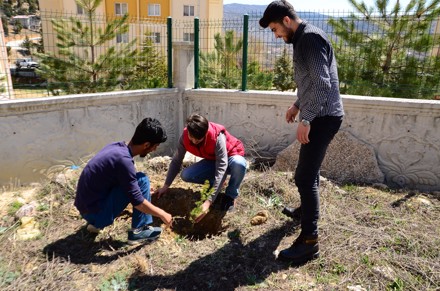 Ağaç Dikimi Etkinliği