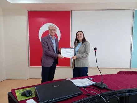 Kadına Yönelik Şiddet ve Sanal Kumar ve Bahis