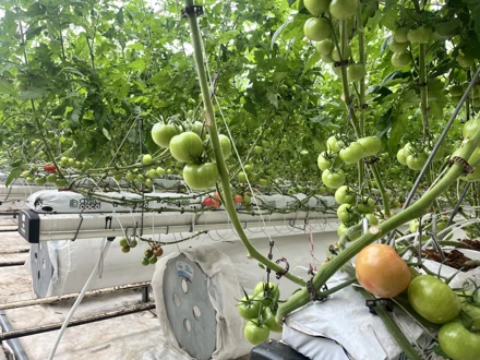 ÇUMRA ŞEKER ENTEGRE TESİSLERİNE TEKNİK GEZİ 