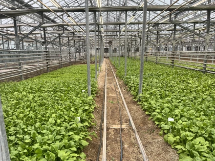 ÇUMRA ŞEKER ENTEGRE TESİSLERİNE TEKNİK GEZİ 