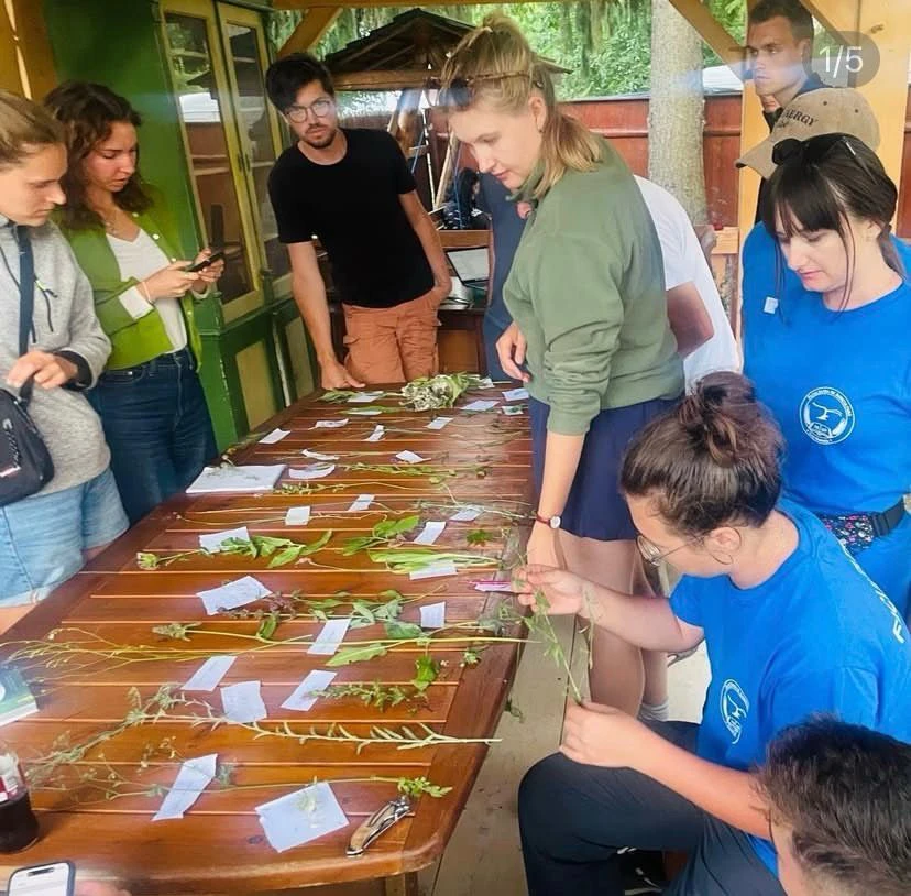 ERASMUS İKİLİ ANLAŞMA