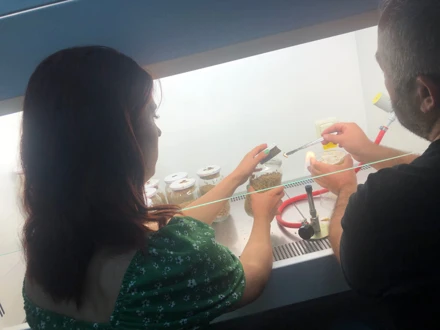 Yüksekokulumuz Öğrencilerinden Mantarcılık Uygulama ve Araştırma Merkezi Müdürlüğüne Ziyaret