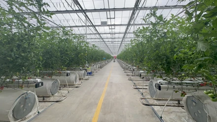 ÇUMRA ŞEKER ENTEGRE TESİSLERİNE TEKNİK GEZİ 