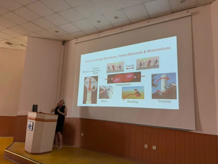 Stresi azalt dayanıklılığı artır: Biomimetik Restorasyonlarda Fiber Kullanımı