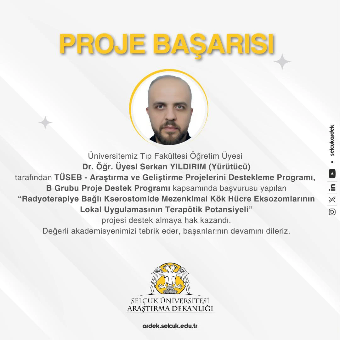PROJE BAŞARISI
