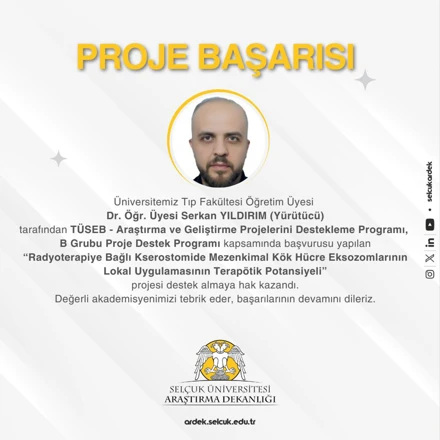 PROJE BAŞARISI