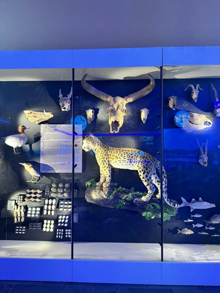 Konya Çatalhöyük Neolitik Kent Gezimizi Gerçekleştirildi