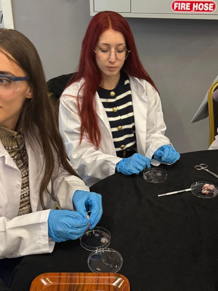 İlkokulda Temel Fen Bilimleri Laboratuvarı Dersi Uygulaması