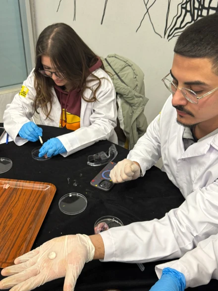 İlkokulda Temel Fen Bilimleri Laboratuvarı Dersi Uygulaması