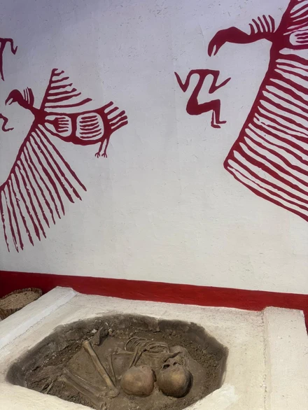 Müze Eğitimi Dersi Çatalhöyük Saha Deneyimi