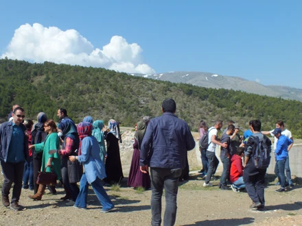 KESTEL ARAZİSİ (2017)