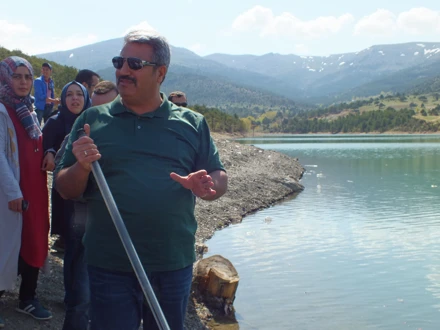 KESTEL ARAZİSİ (2017)